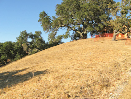 Straw Bale House entry