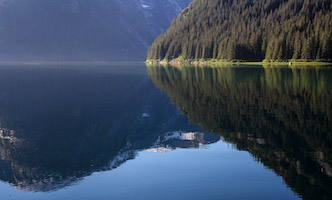 Inside Ford's Terror