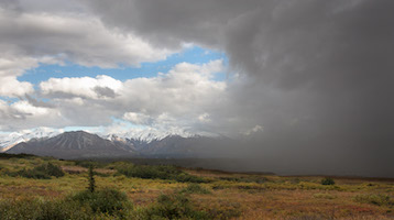 Denali National Park