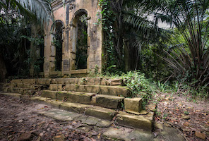 Ruins of rubber tapper outpost