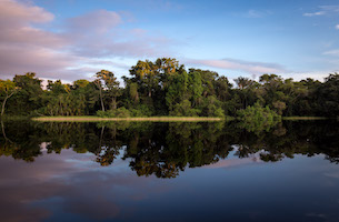 Side channel of the Rio Negro