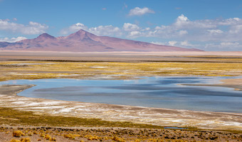 Laguna Salar de Tara, 14,000 foot elevation