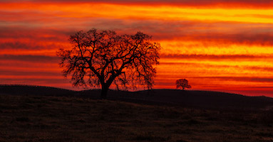Dawn on the Central Coast