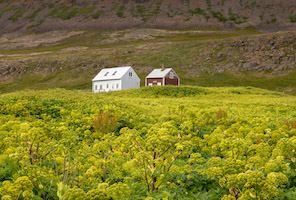 Northwest Iceland