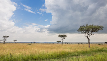 The Maasai Mara