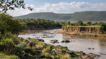 The Mara River