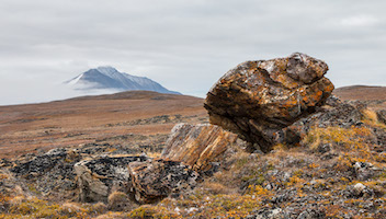 Tundra on Devon Island, Canadian High Arctic