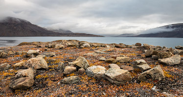 Tundra on Devon Island, Canadian High Arctic
