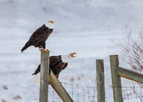 Grand Tetons National Park