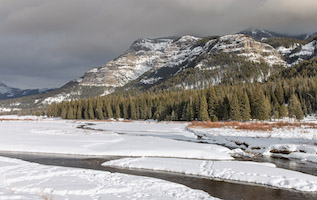 Yellowstone's Lamar Valley