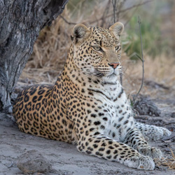 Denali National Park