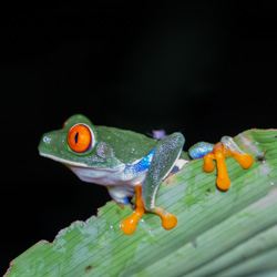 Denali National Park