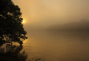 Morning mist